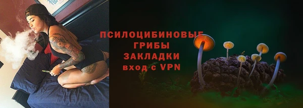 соль ск Липки