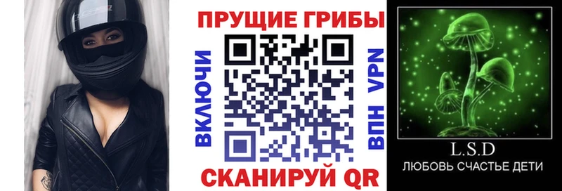 Галлюциногенные грибы MAGIC MUSHROOMS  Купить закладки  Дальнереченск 